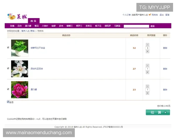 快速掌握ag视讯网官网登录流程实现无障碍影视内容畅享体验