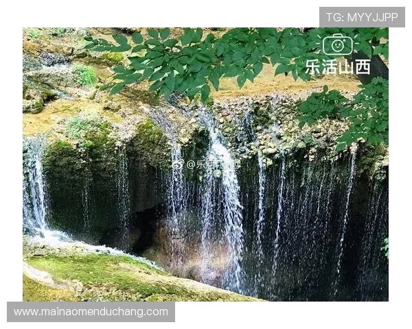 掌握大阳城入口攻略助力你快速找到最优路径开启精彩游玩体验